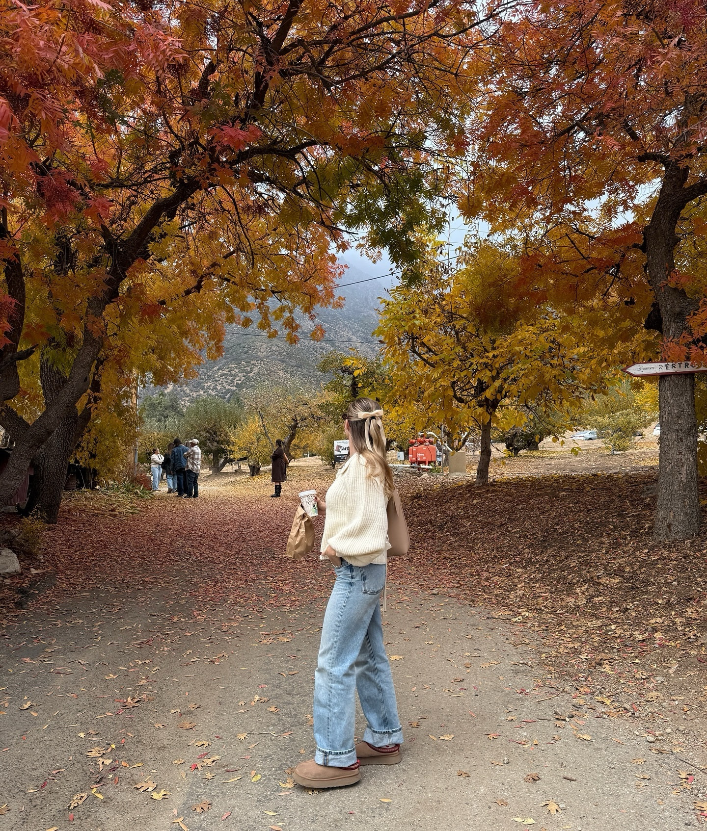 fall foliage + Apple cider donuts + sweater weather = happy me 🤍🧸🍂

#falloutfits #fallootdinspo #ootdinspo #outfitinspo #pinterestinspired #pinterestaesthetic #pinterestgirl #pinterestoutfit #girlyaesthetic 

Comment SHOP for the outfit link to be sent to your DMs🤍