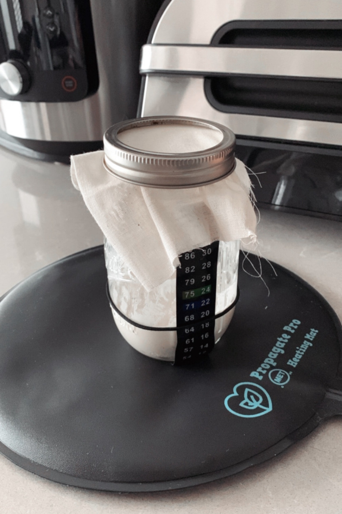 Giving my sourdough starter a better climate to thrive with this fermentation heating mat 🍞 

#LTKMostLoved #LTKhome #LTKfamily