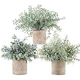 Winlyn Set of 3 Mini Potted Artificial Eucalyptus Plants Plastic Fake Green Rosemary Plant for Ho... | Amazon (US)