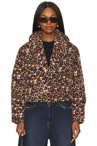 Evy Jacket in Leopard | Revolve Clothing (Global)