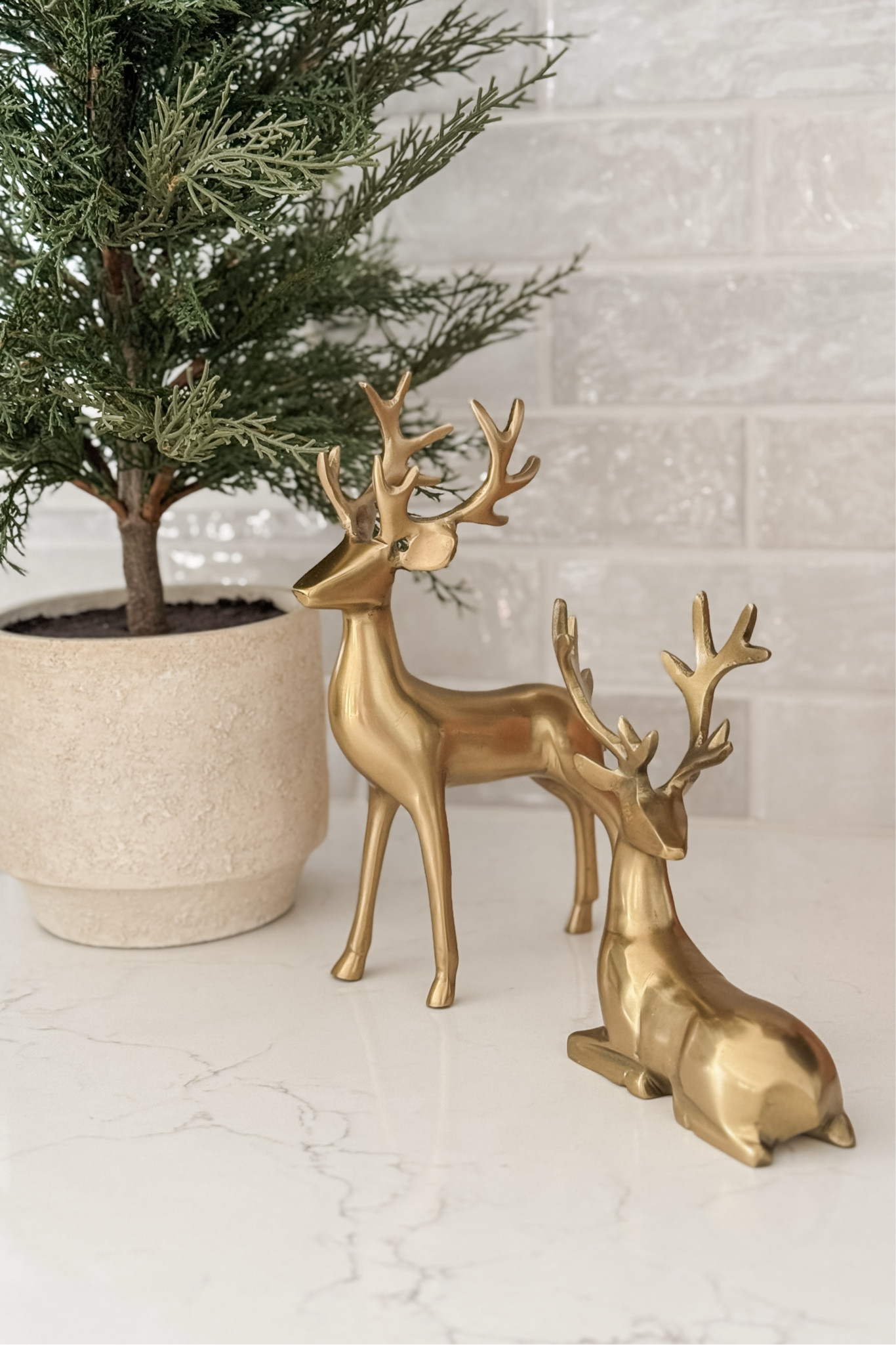 🌲🦌✨

#LTKHoliday #LTKHome