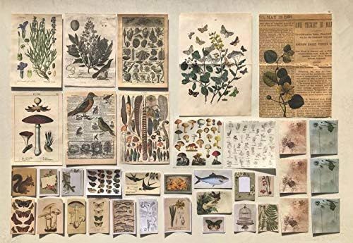 DESEACO Vintage Aesthetic Botany Adhesive Washi Decorative Sticker For Scrap Booking, Antique Pla... | Amazon (US)