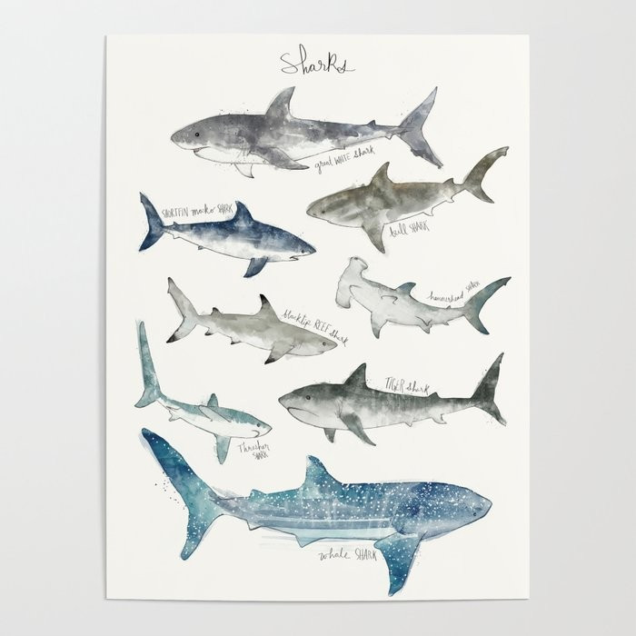 Sharks Poster | Society6