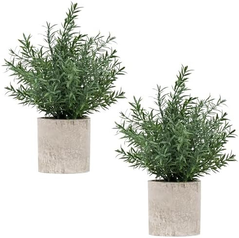 2 Pack Small Fake Plants Rosemary Potted Artificial Plants for Shelf Desk Home Kitchen Bathroom F... | Amazon (US)