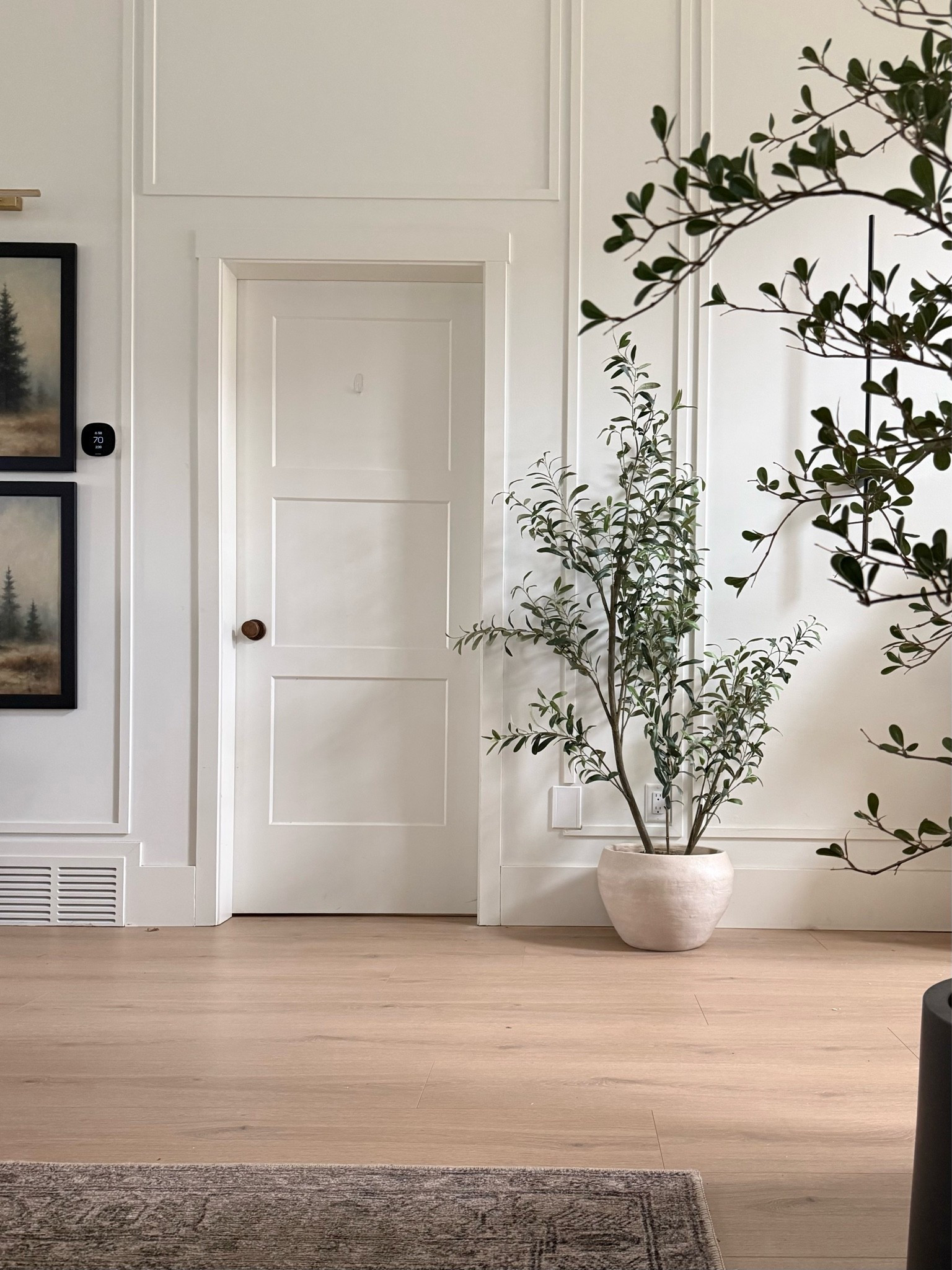 100% recommend this potted olive tree from target. It’s a smaller height, 5 feet. It has a beautiful organic shape. Perfect for any corner or blank wall!