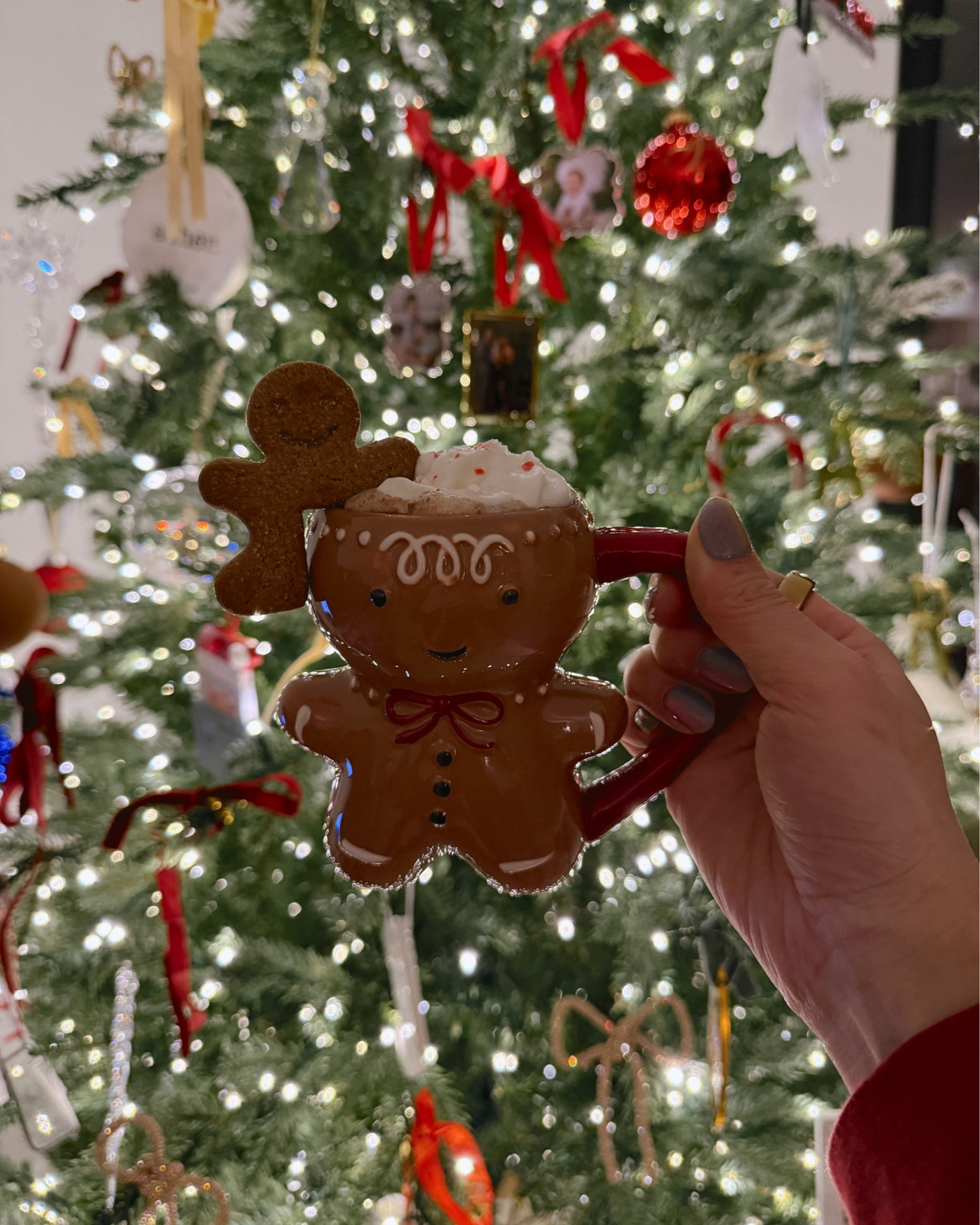 Gingerbread mug 

#LTKHome #LTKSeasonal #LTKHoliday