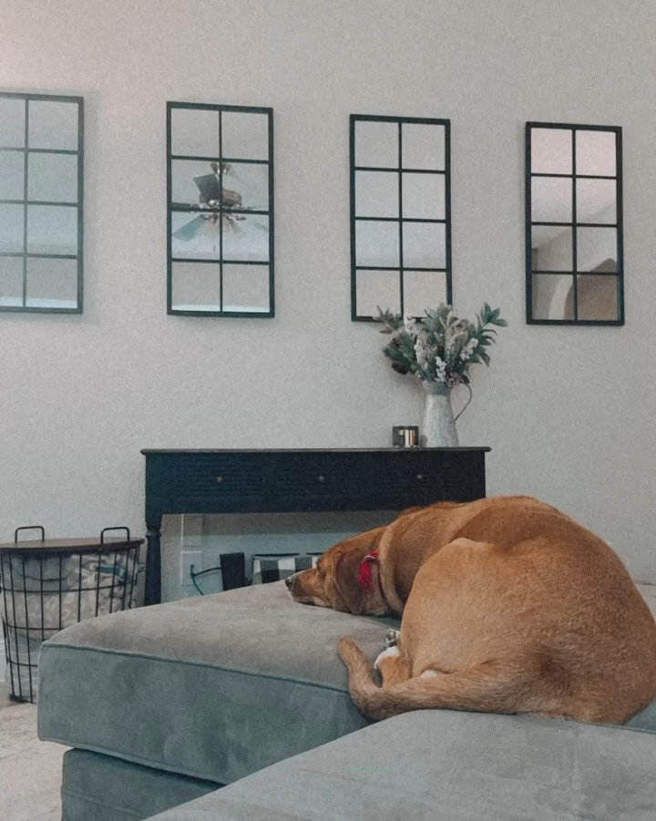 These mirror window panes were 2 for $25!!! They elevated my living room so much! 

#LTKSaleAlert #LTKFindsUnder50 #LTKHome