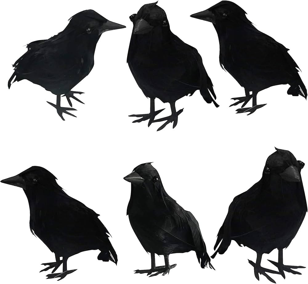 DAZZLE BRIGHT 6Pack Halloween Black Feathered Crows Decor, Holiday Decoration for Indoor Outdoor ... | Amazon (US)