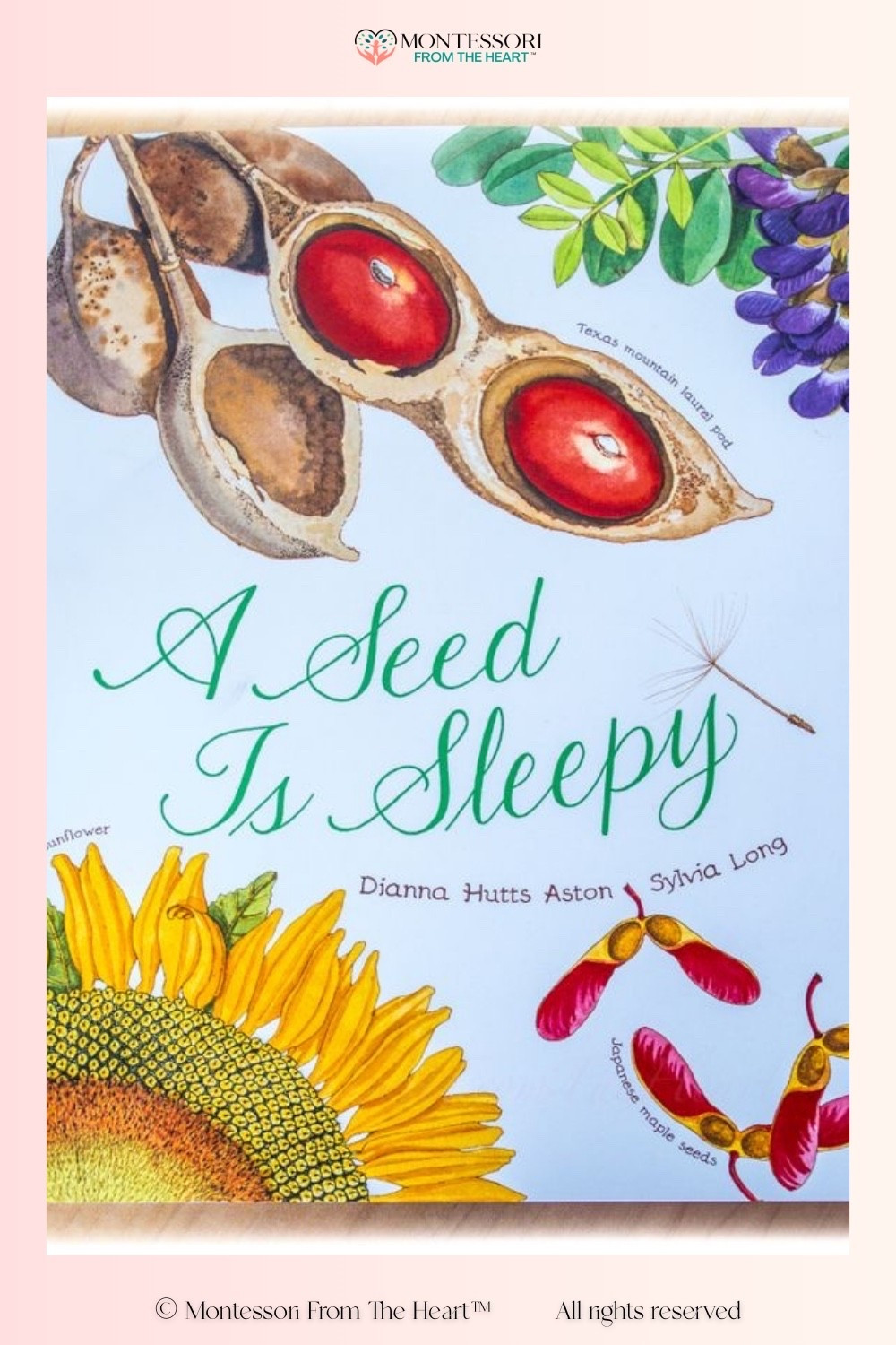 A Seed is Sleepy Book for Kids

#LTKKids #LTKstorytime #LTKHome