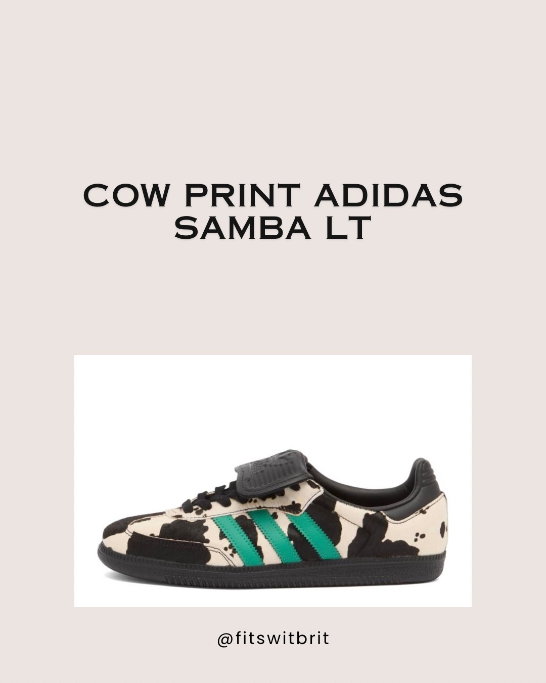 Cow print Adidas Samba Lt

#LTKStyleTip #LTKShoeCrush