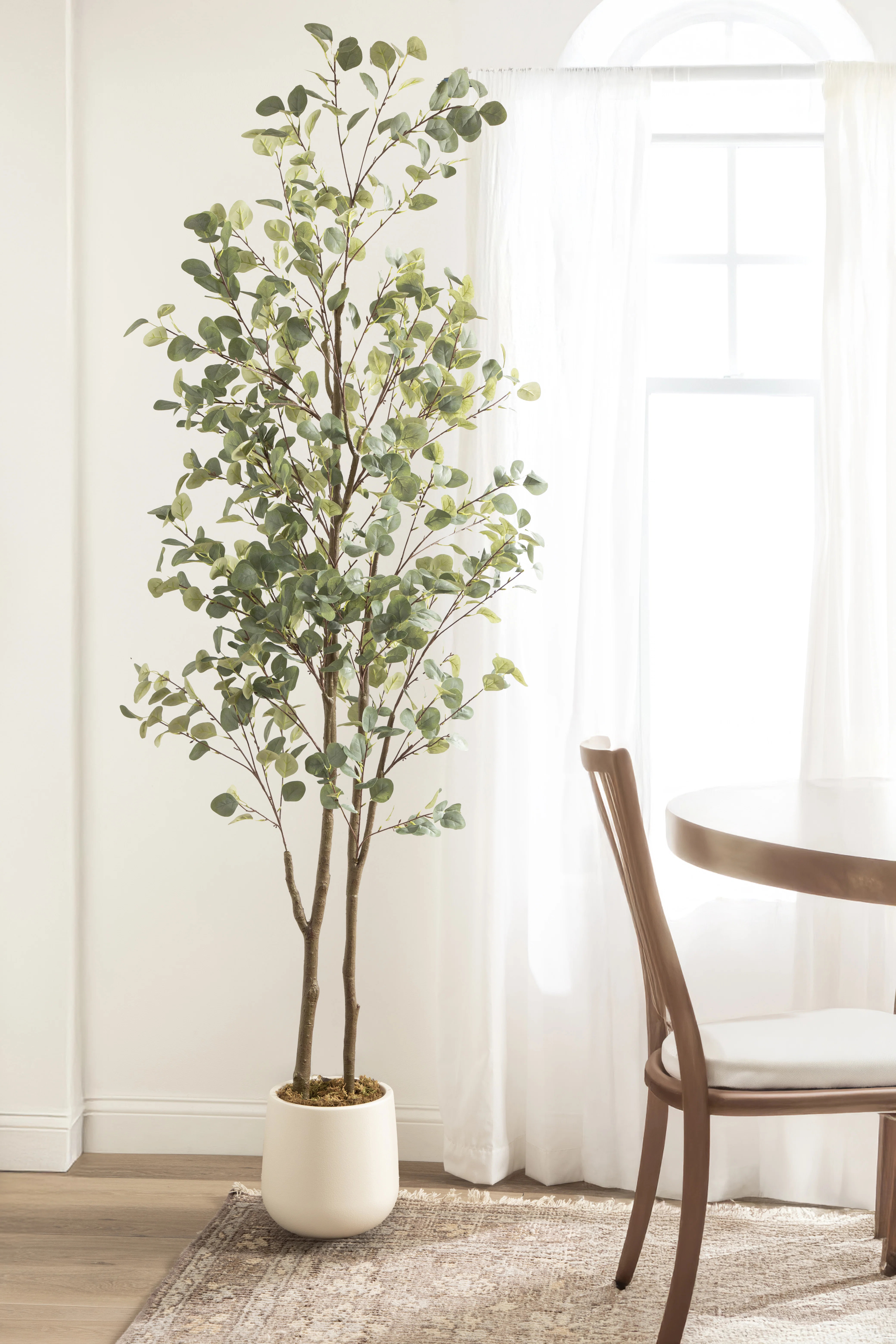 Eudora Modern Faux Eucalyptus Tree with Nursery Pot and Bagged Moss | Wayfair North America
