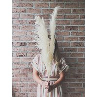 Pampas Grass | Dried + Preserved White Fluffy Bohemian Wedding Decor Tall Vase Flowers Ornamental | Etsy (US)