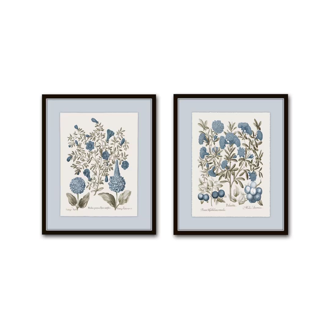 Vintage Sepia and Blue Botanical Print Set No. 4, Botanical Art, Vintage Botanical Prints, Wall A... | Etsy (US)