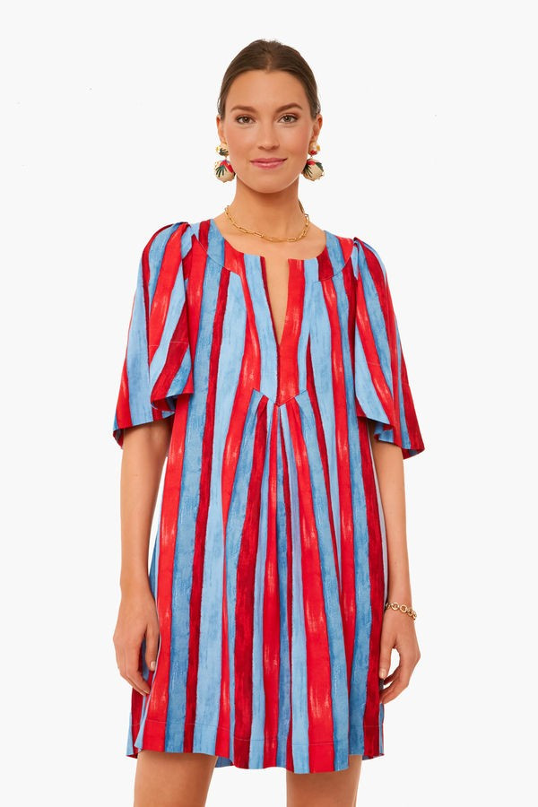Painterly Stripe Finley Flutter Sleeve Dress | Tuckernuck (US)