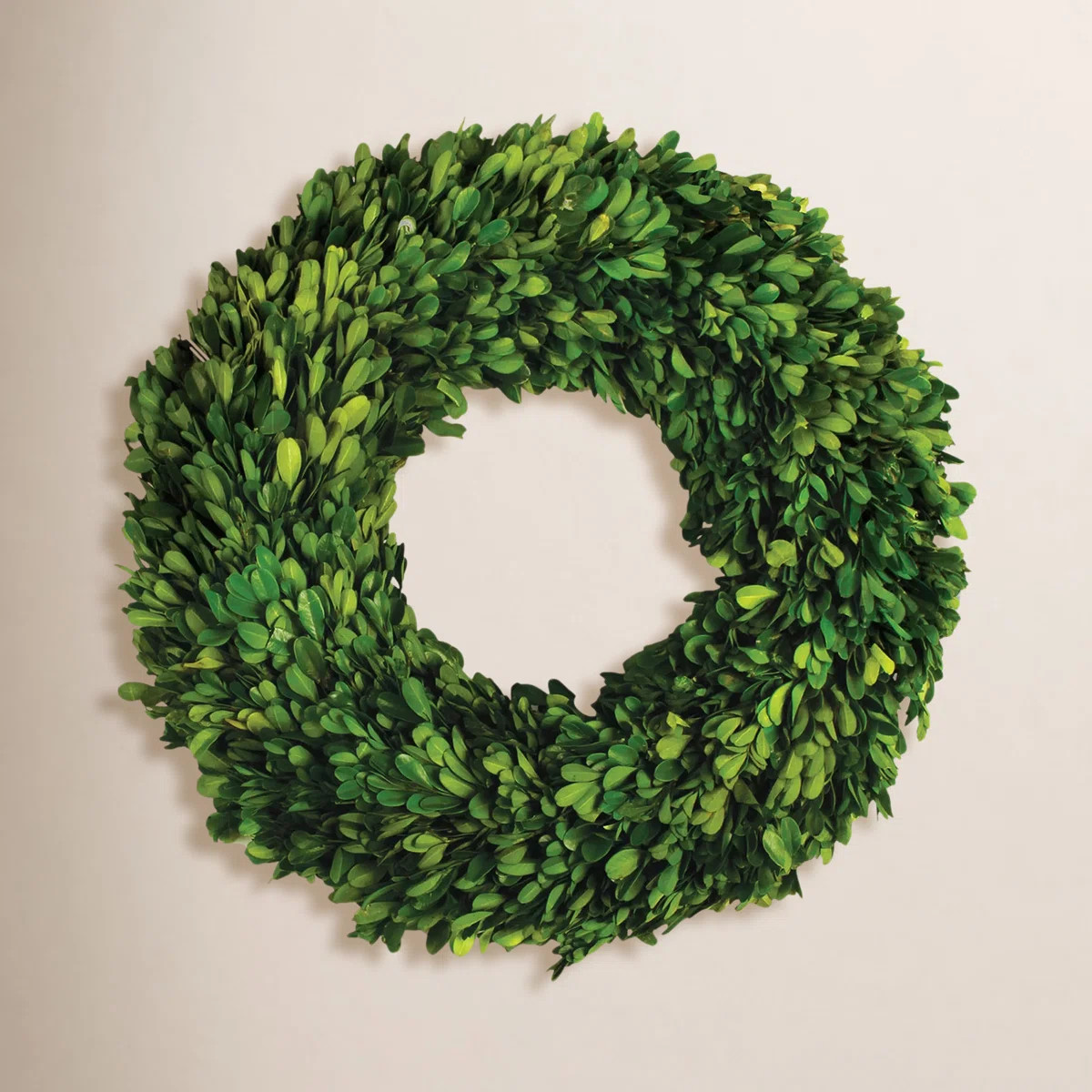 Alby Preserved Boxwood Wreath | Birch Lane