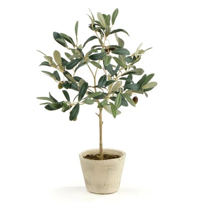 Faux Olive Potted Tree | Wayfair North America
