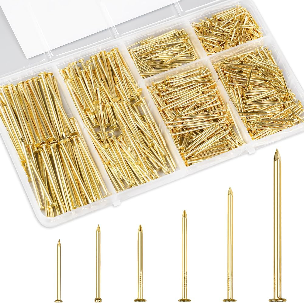 KURUI Hardware Nails for Hanging Pictures Assorted Kit,700pc Gold Picture Hanging Nails for Wall ... | Amazon (US)