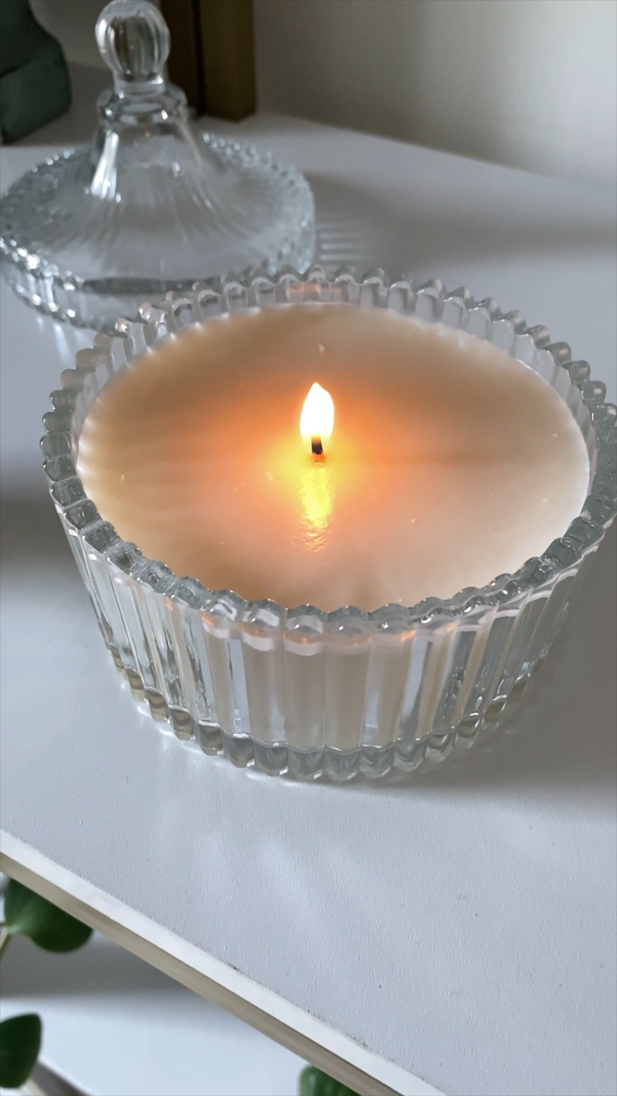 Unpopular opinion. Homemade candles can have an unappealing appearance compared to store-bought ones, especially for gifts or decor. 

I DISAGREE! Making your own candles can be such creative experience. You can choose to use new containers, mason jars, or find some vintage vessels when you thrift to use. You can add flower petals, dried flowers, and any scent you want!

This vintage inspired ribbed glass candy dish turned DIY candle is my new favorite accent piece in my blogging home office! Needless to say I’m not an expert on this but always use common sense — this vintage inspired candle is meant to be a decorative candle so always burn something like this with caution ❤️

#diyideas #diycrafts #diyhomedecor #diycandles #craftideas #Amazonfinds #diygiftideas #diygift

#LTKfindsunder50 #LTKGiftGuide #LTKhome