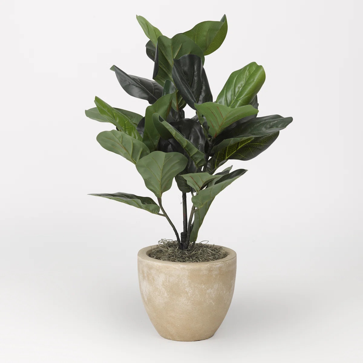 32'' Faux Fiddle Leaf Fig Plant in Ceramic Planter | Wayfair North America