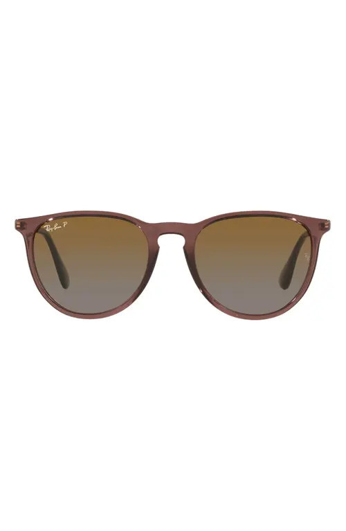 Ray-Ban Erika Classic 54mm Sunglasses in Transparent Brown at Nordstrom | Nordstrom