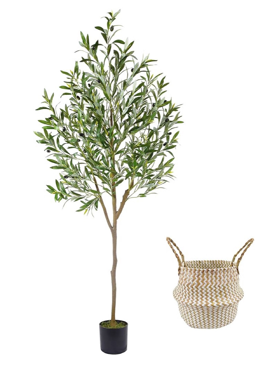 Amazon prime deal days on this faux olive plant!! 