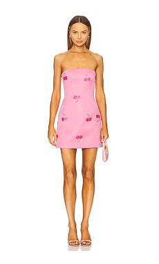 LEO LIN Roselle Embellished Bustier Mini Dress in Pink Cherry Beading from Revolve.com | Revolve Clothing (Global)