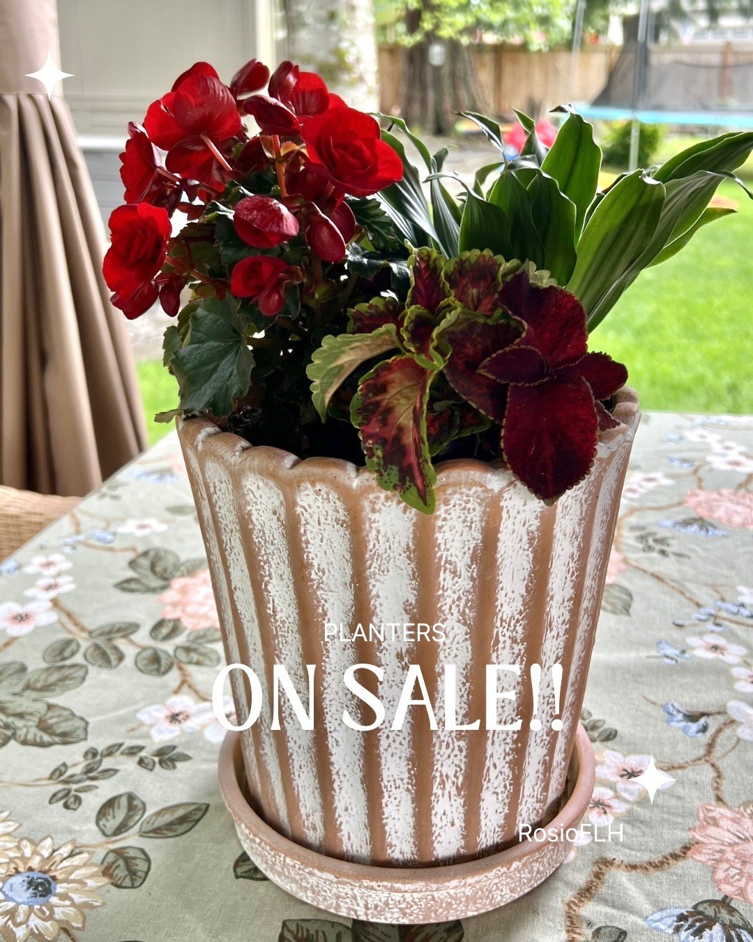 Beautiful Planters on sale !!!!
@mytexashouse 
#planters 
#flowers 
#walmart #mytexashome

#LTKdayinmylife #LTKmomlife #LTKHome