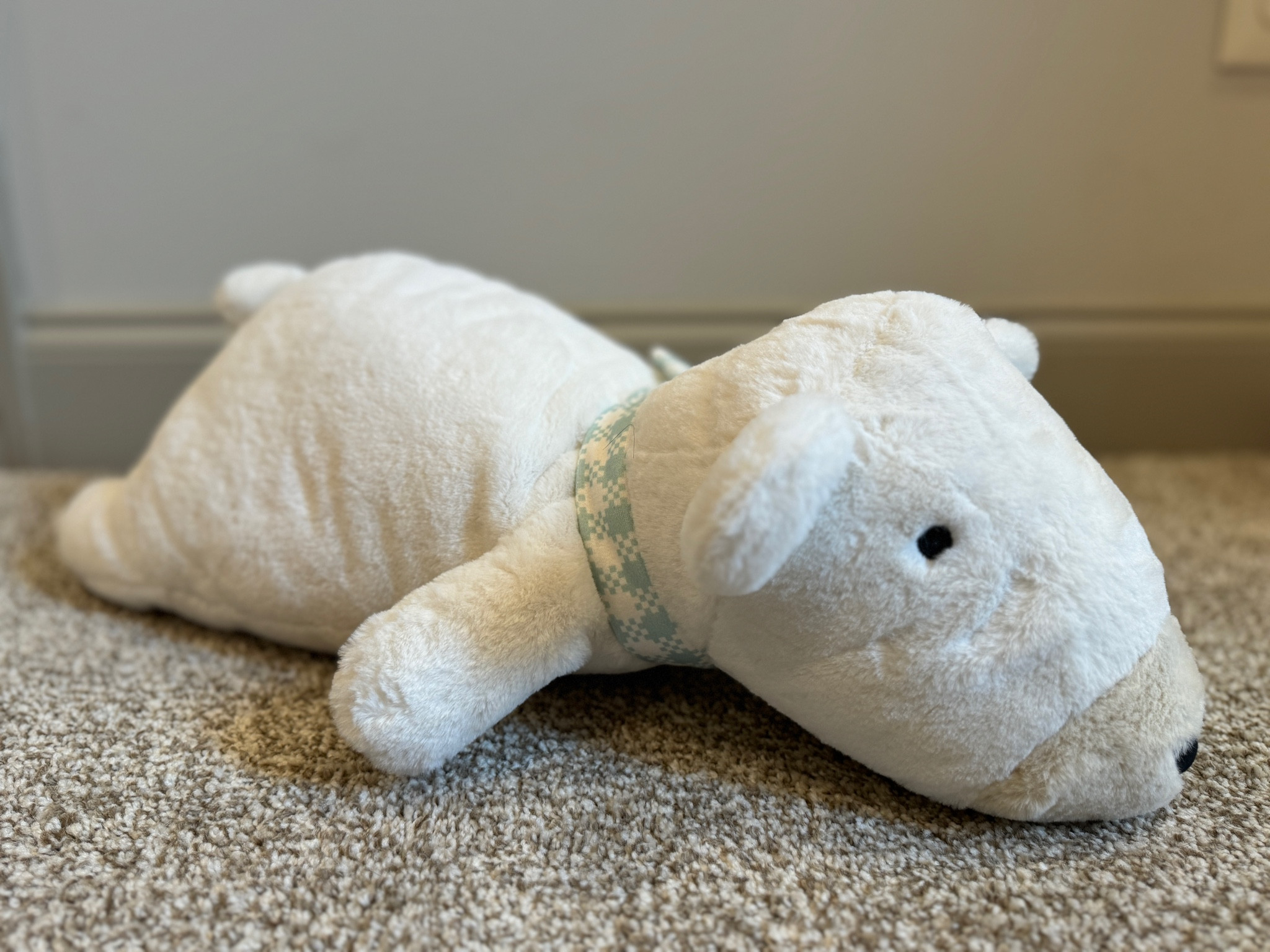 Our teen had this weighted plush bear on her Christmas list this year! 

#LTKtravel #LTKkids #LTKfamily