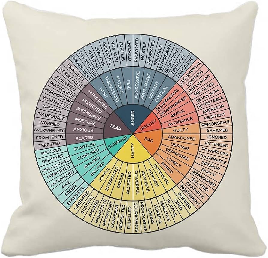 Wheel of Emotions Feelings Velvet Throw Pillow Covers Cozy Square Pillowcases Home Decor for Bed ... | Amazon (US)