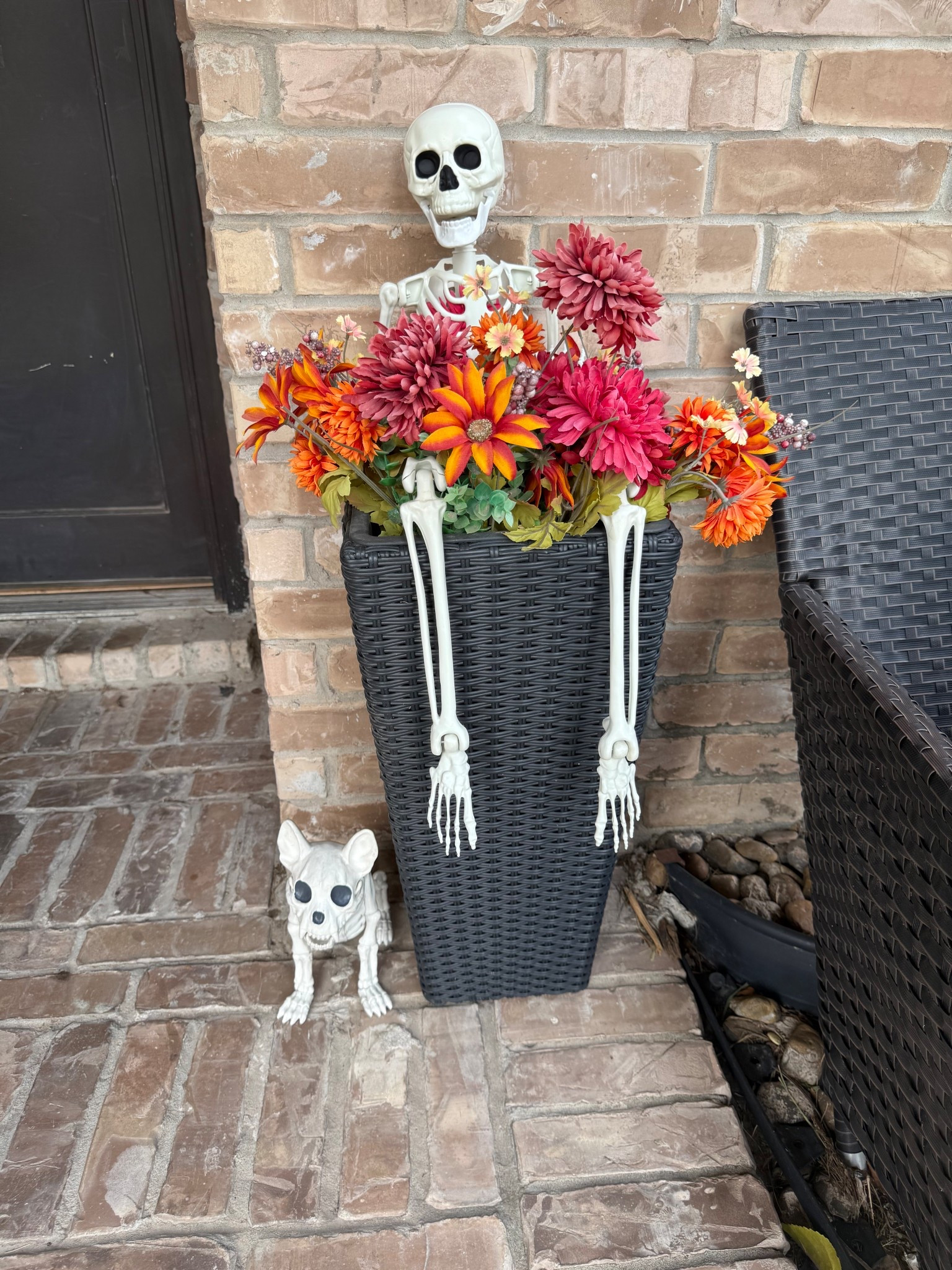 We added a little pet for our skeleton so he doesn’t get lonely! He looks just like our dog! 

#LTKSeasonal #LTKFindsUnder50 #LTKHalloween