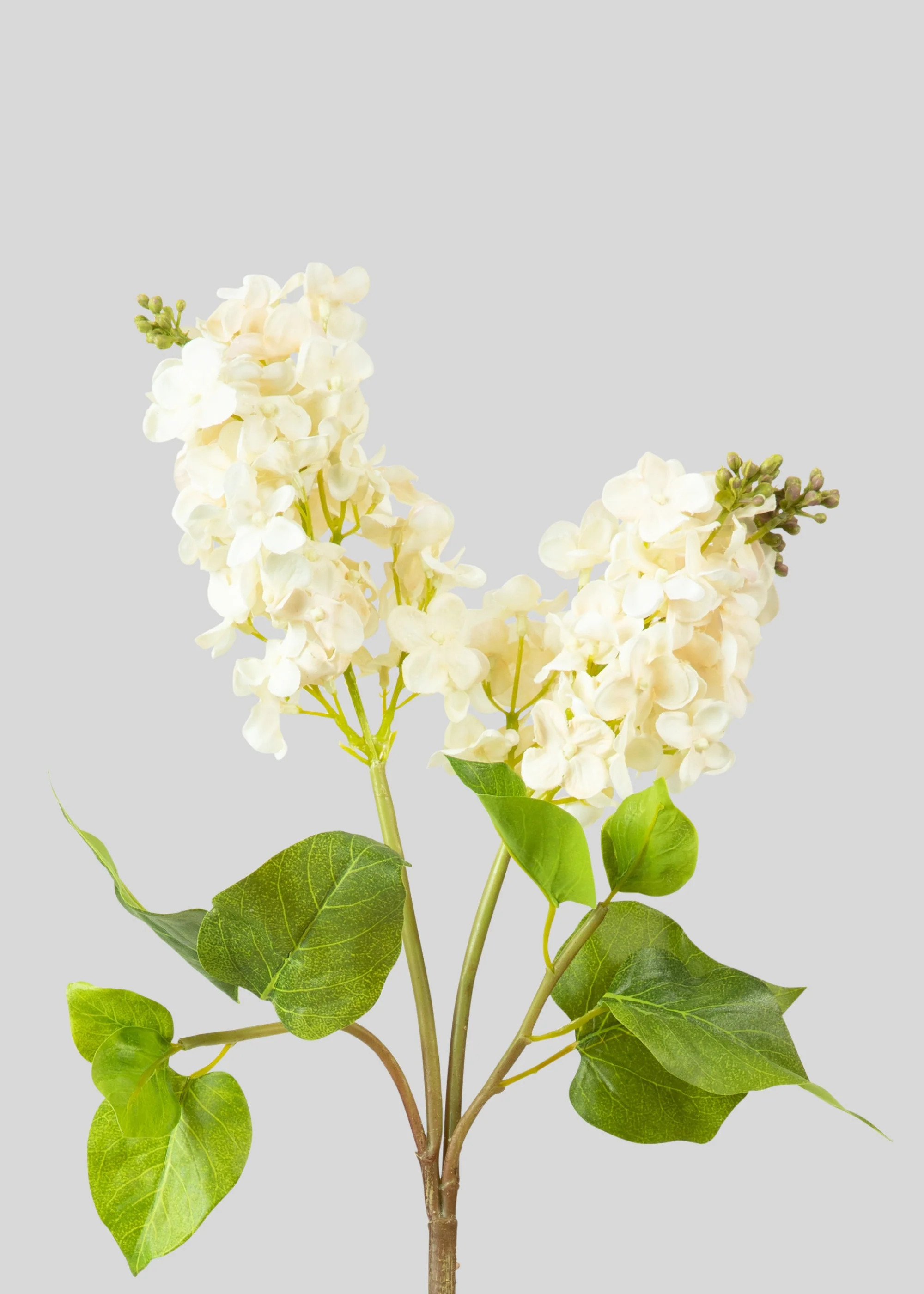 Cream Fake Real Touch Lilac Blooming Branch - 27.5" | Afloral