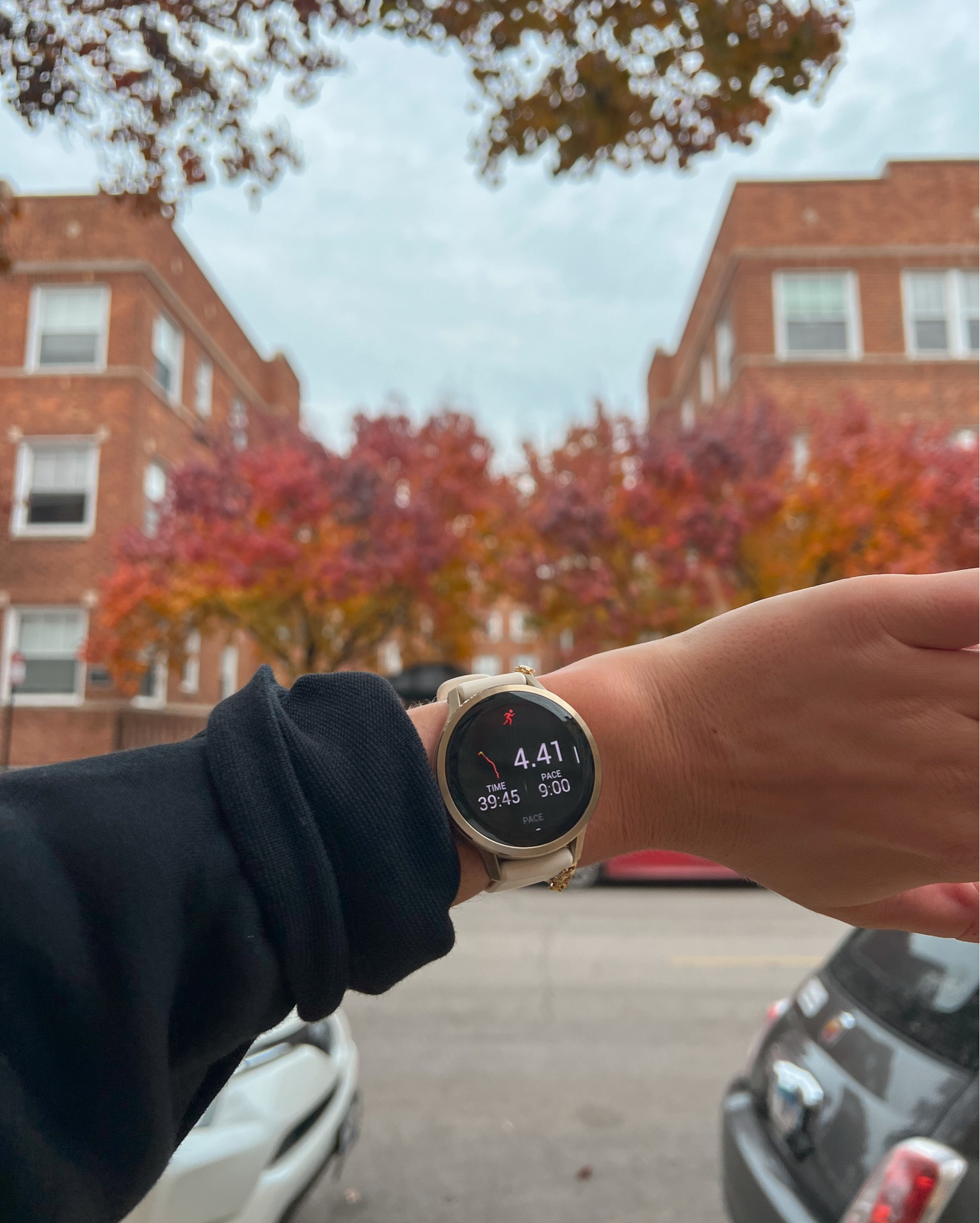 Will forever be a Garmin girlie!!! Just upgraded from the Venu 3S to the Venu 4S! They’re both great so if you wanna spend less then I’d recommend the 3S but the 4S def has a lot more advance tools like i can hook it up to my Runna app🏃🏼‍♀️🏃🏼‍♀️🏃🏼‍♀️

#LTKCyberWeek #LTKActive #LTKfitnessgoals