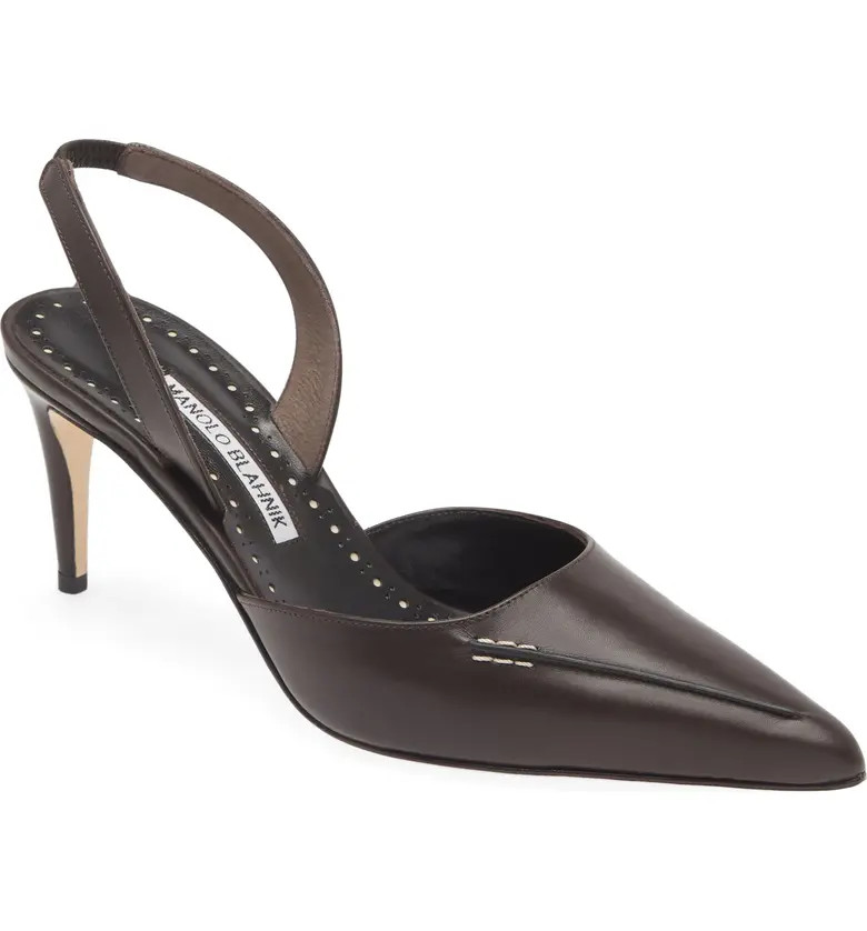 Homerasli Pointed Toe Slingback Pump (Women) | Nordstrom
