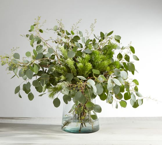 Live Wooly Bush & Seeded Eucalyptus Bunches | Pottery Barn (US)