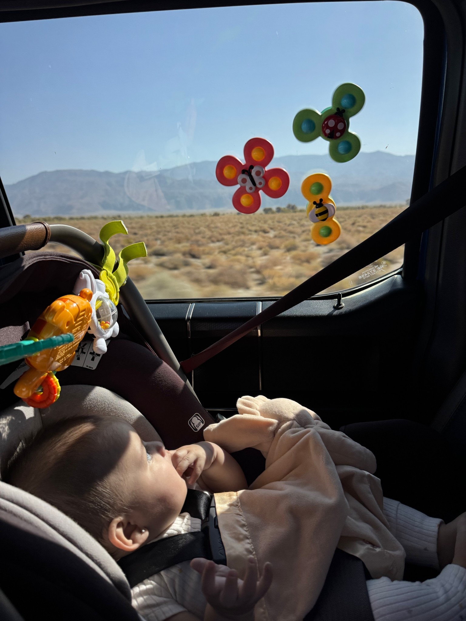 Road-trip must have for babies 🙌🏼 #amazoninfluencer #amazon #fidgetspinners #roadtripmusthaves #musthaves #babyitems #babytoys 

#LTKFindsUnder50 #LTKTravel #LTKBaby