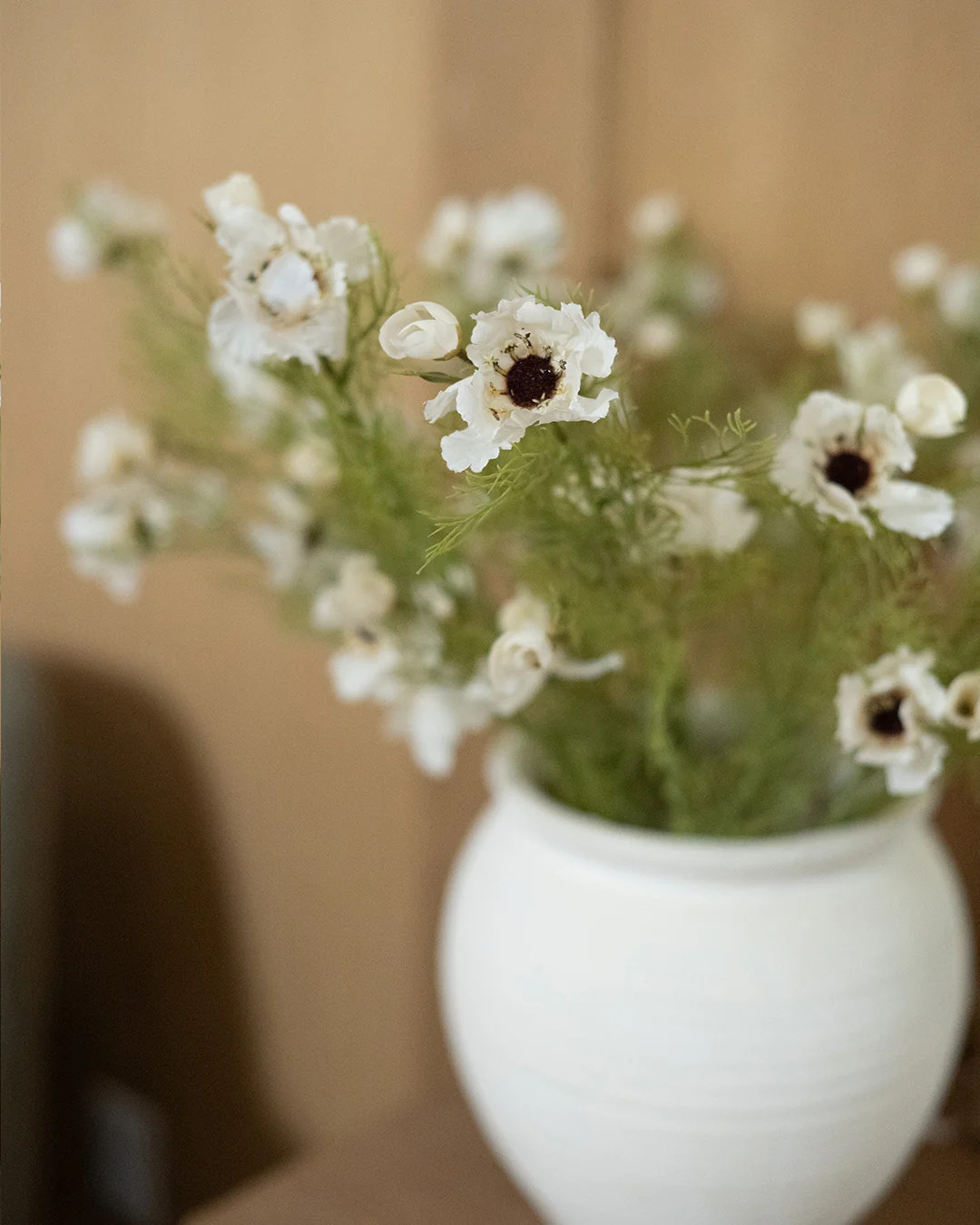 Cream Cosmos | Elements by Remedy