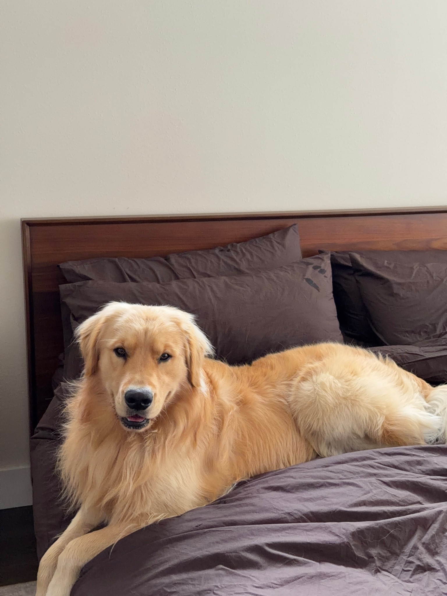 Shop Brooklinen’s Labor Day Sale now: save 25% off sitewide and up to 50% on bundles, only through September 9th! @brooklinen #brooklinenpartner