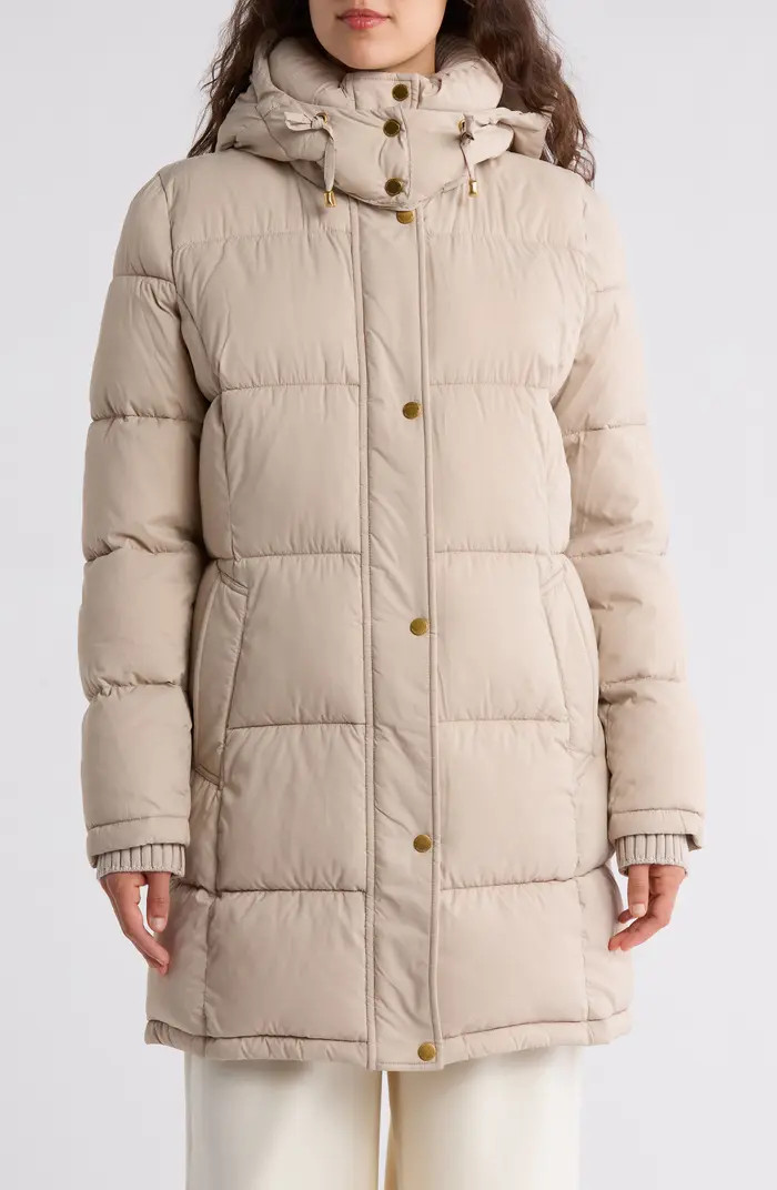 Hooded Ribbed Trim Puffer Jacket | Nordstrom