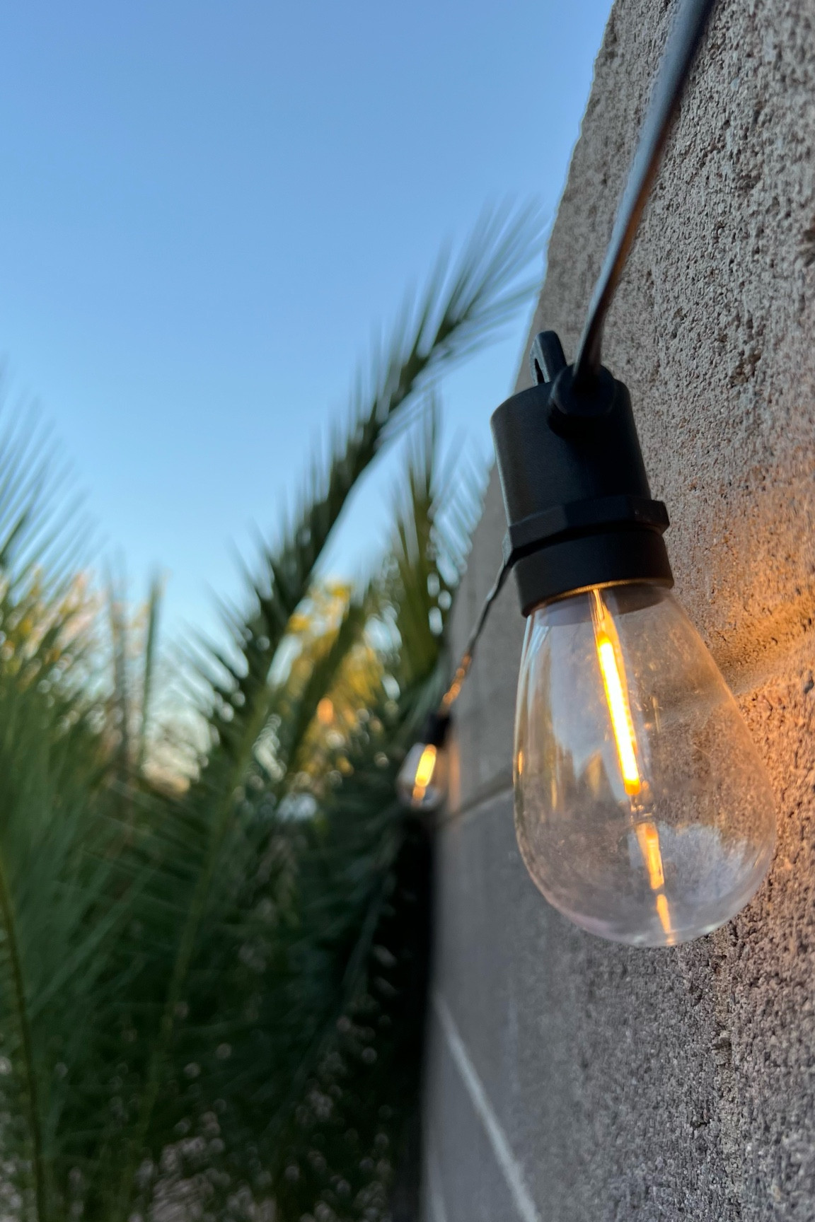 Cozy backyard

#LTKHome #LTKFindsUnder50