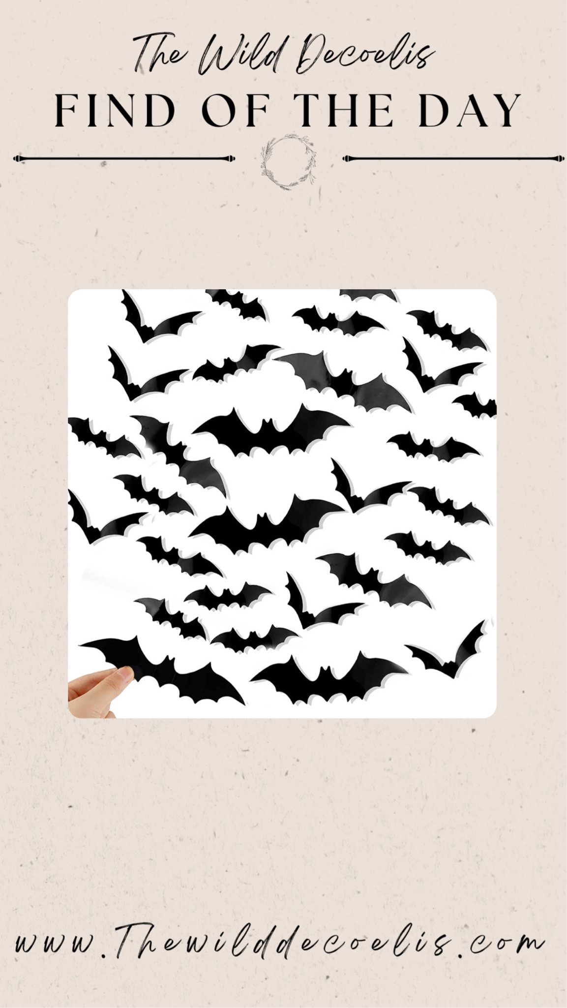 Shop these for your halloween decor

#LTKhome #LTKSeasonal #LTKunder50
