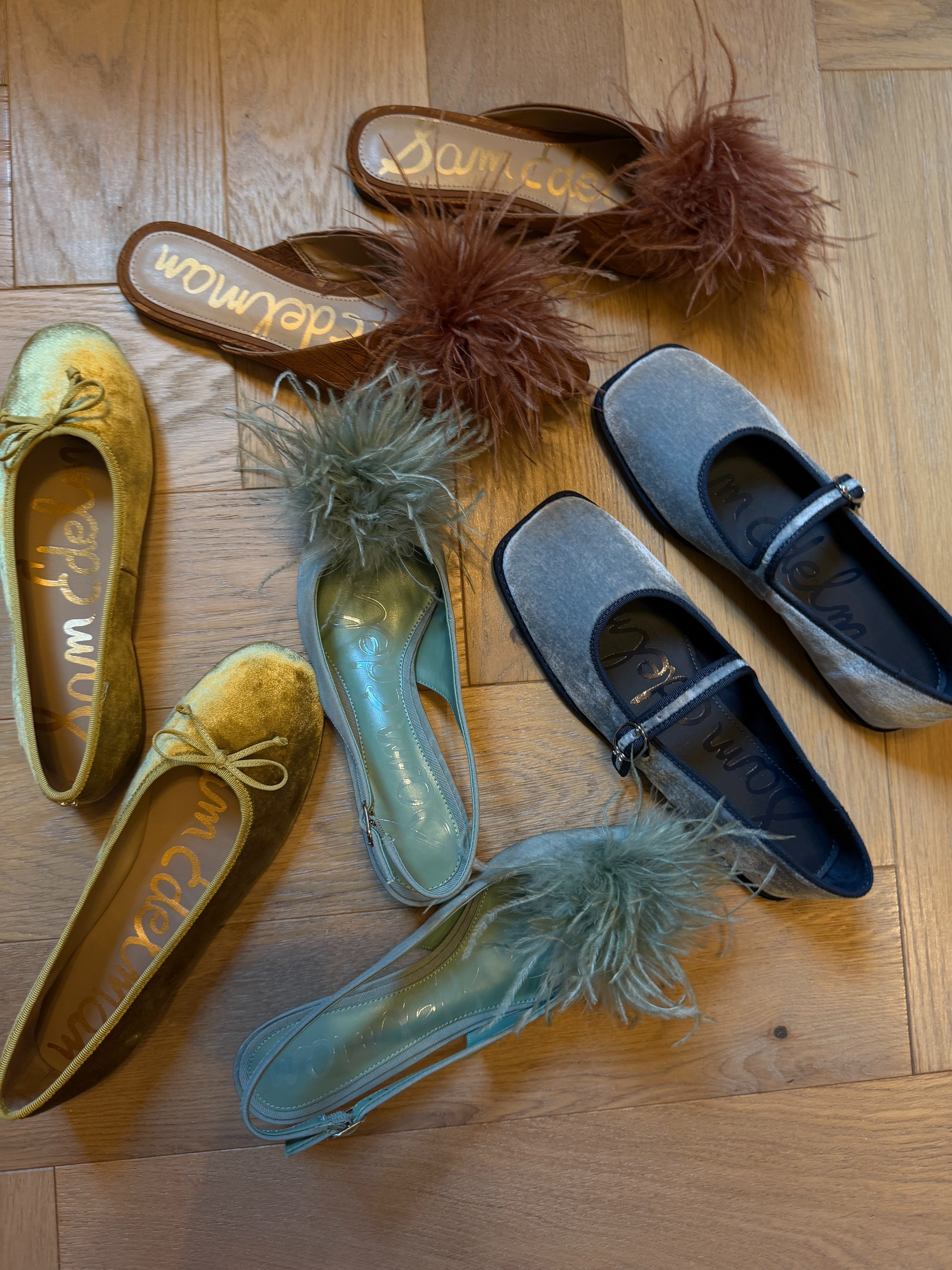 Fall shoes in from Sam Edelman! Loving the velvet for fall! 

 #LTKootd #LTKSeasonal