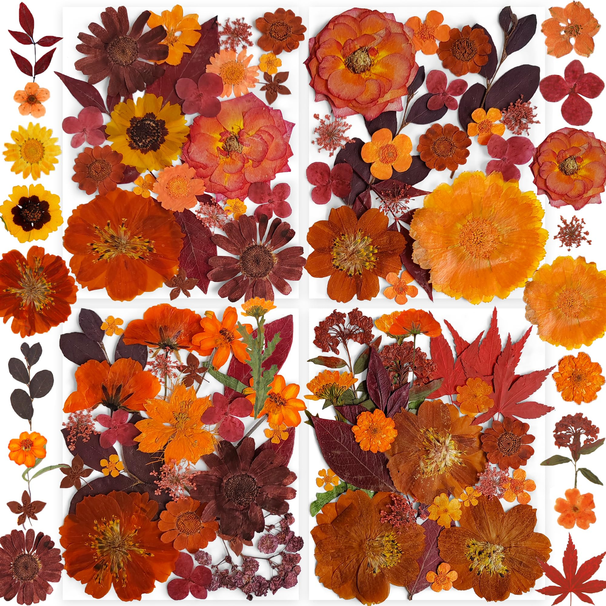 141PCS Brown Fall Dried Pressed Flowers for Resin - YouthBro Real Nature Flowers Butterfly Stiker... | Amazon (US)