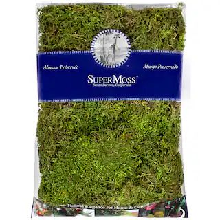 SuperMoss® Preserved Forest Moss | Michaels | Michaels Stores