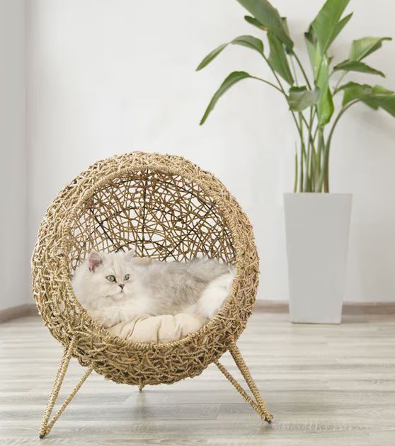 ZEZE Knipsa Bird Nest Cat Stand Chair, Natural - Chewy.com | Chewy.com