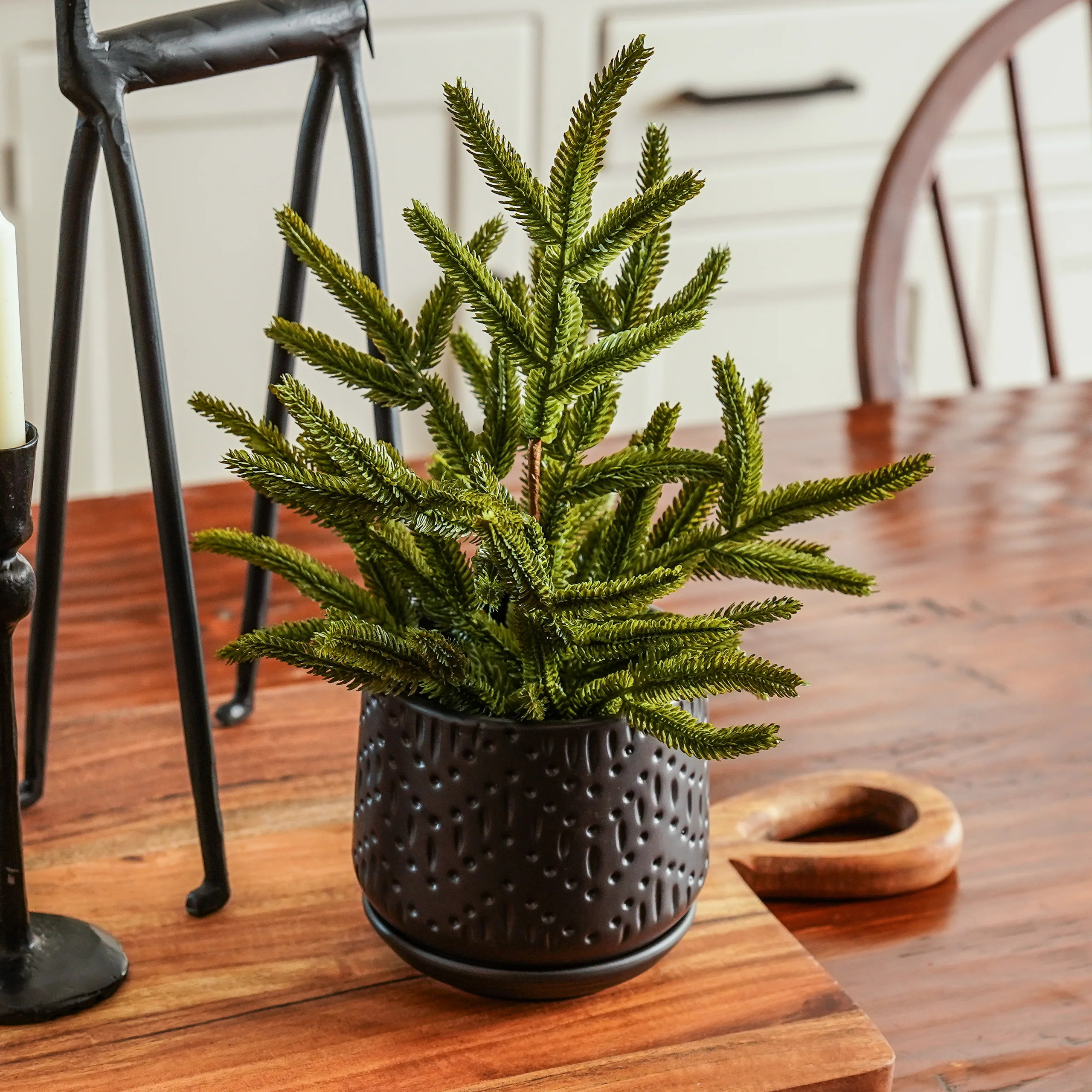 Real Touch Blissful Norfolk Pine Potted Plant | 13” | MJHome