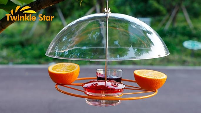 FORUP Oriole Bird Feeder for Outdoors Jelly and Oranges, Orange Fruit Oriole Jelly Bird Feeder, O... | Amazon (US)