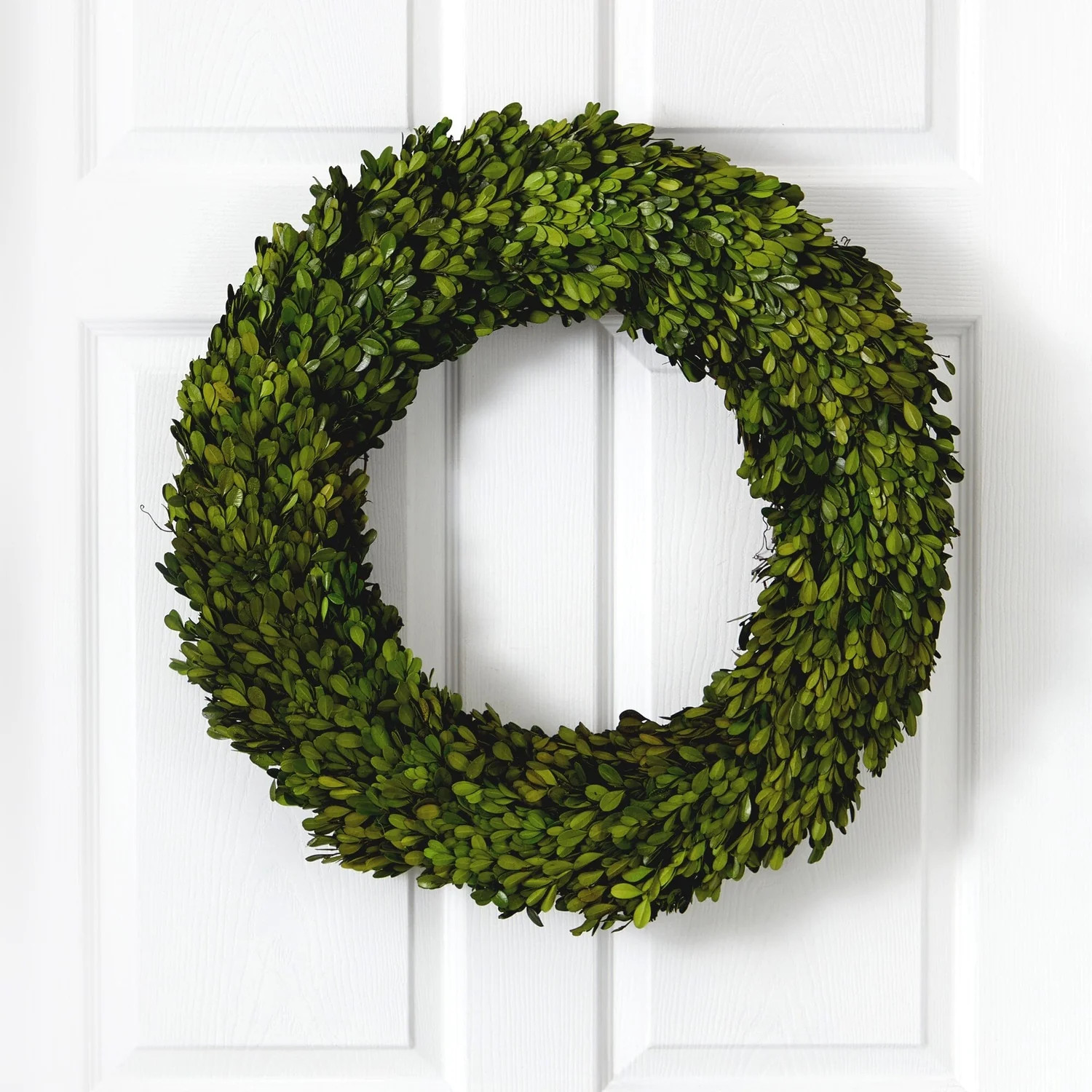 24” Preserved Boxwood Wreath | Nearly Natural | Nearly Natural