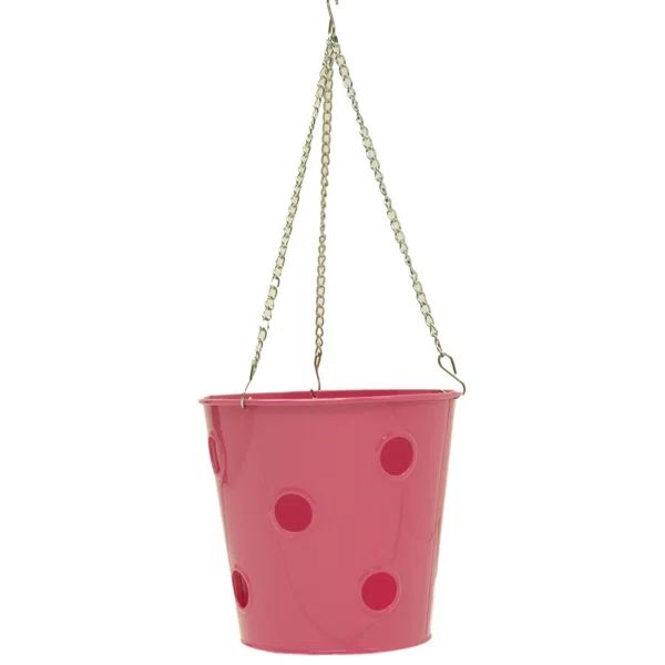 Anakie Metal Hanging Planter | Wayfair North America