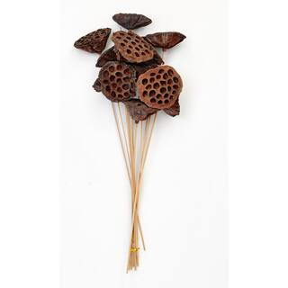 17 in. Large Natural Lotus Stem (Set of 12) 3018 - The Home Depot | The Home Depot