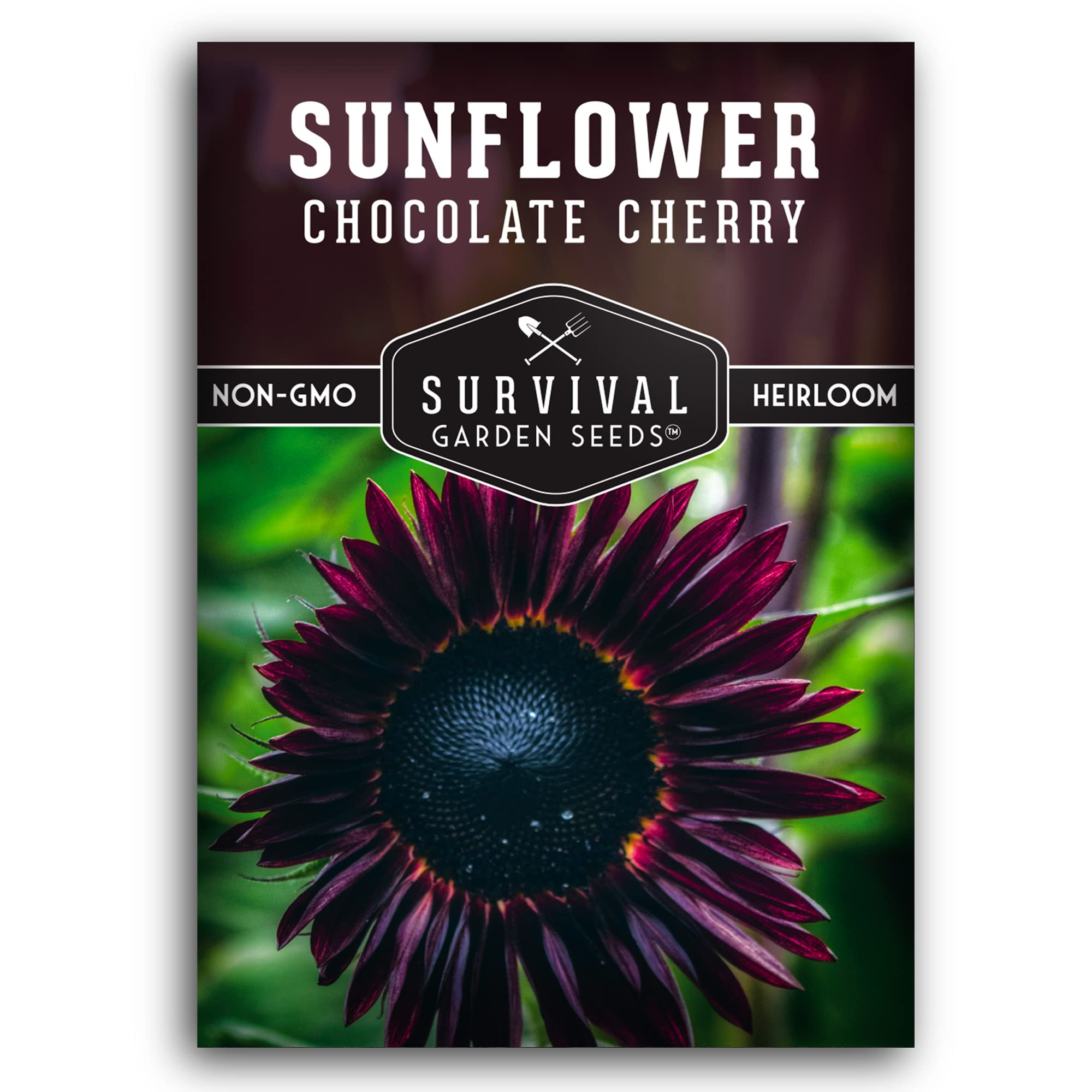 Chocolate Cherry Sunflower Seeds for Planting - Rare Burgundy Black Blooms, 6-7ft Giant Non-GMO H... | Amazon (US)